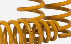 Tough Dog Rear Coil Springs (Pair) 0-300kg for 90 Series Prado 40mm lift